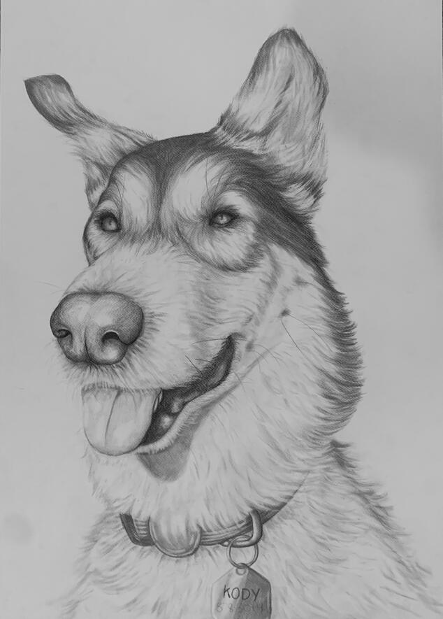 Kody, graphite on paper, 19x24, 2024