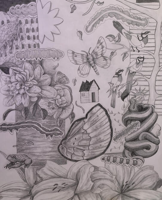 Take Me Home, Graphite pencil on paper, 19x26, 2023