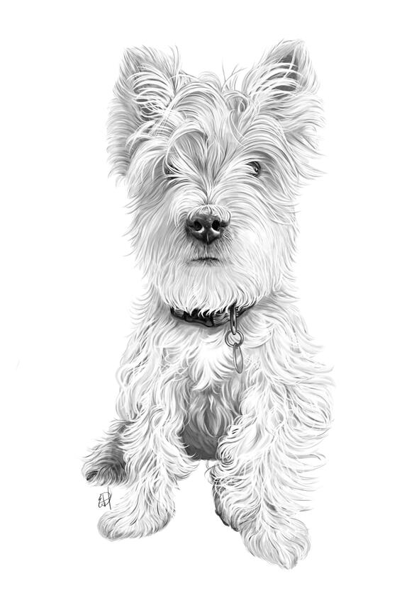 Fergus, Digital drawing, 2022