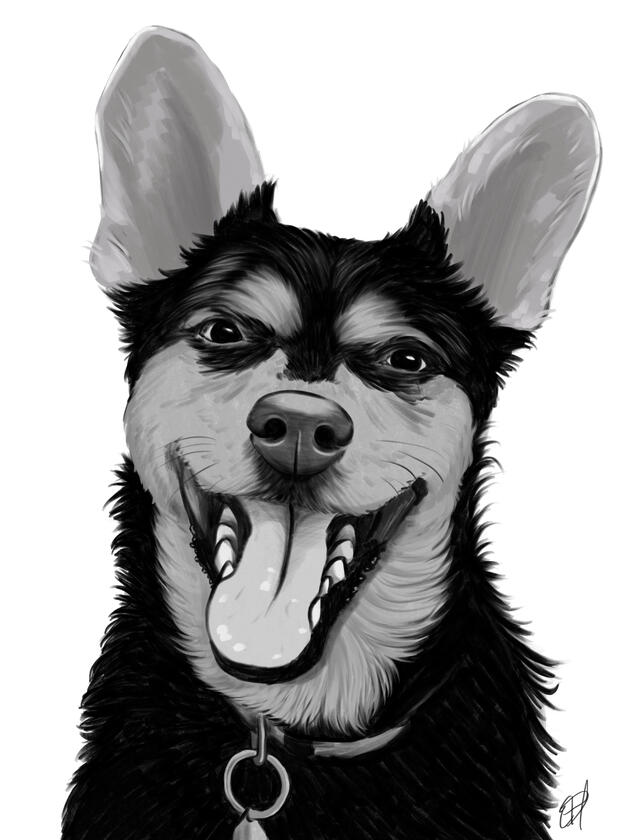 Bandit, Digital Drawing, 2022