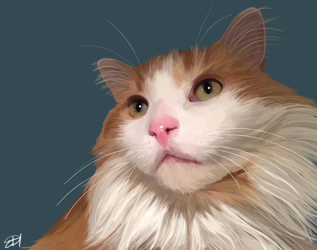 Meow, Digital painting, 2021